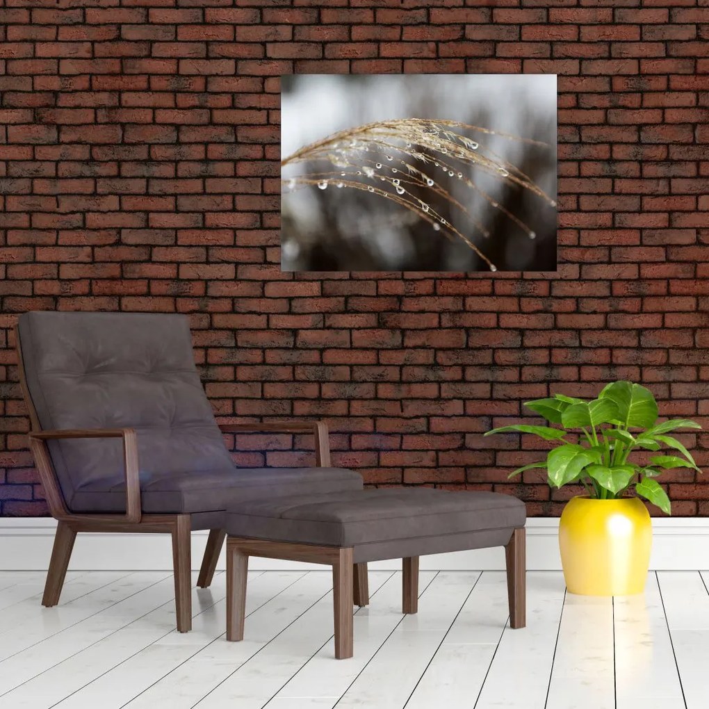 Obraz na szkle kropli na roślinie (70x50 cm)