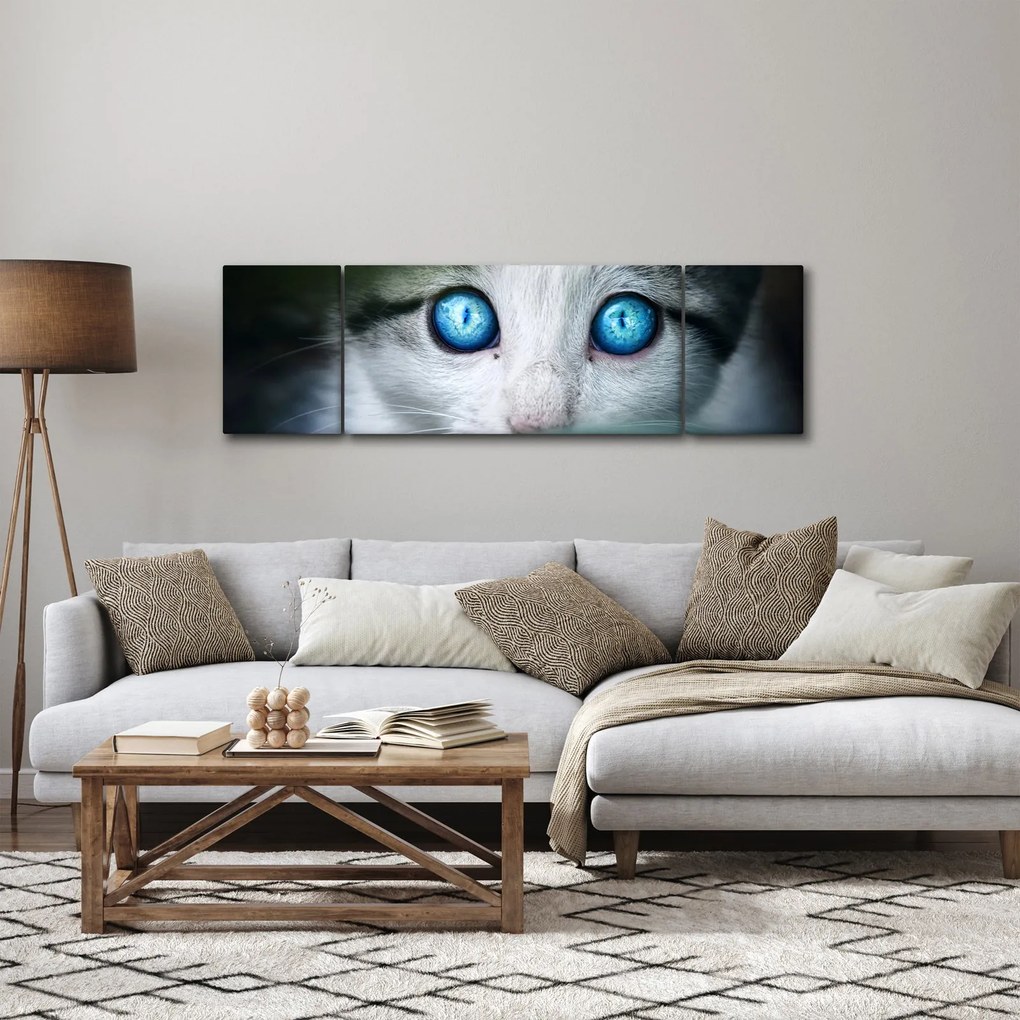 Obraz kota (170x50 cm)
