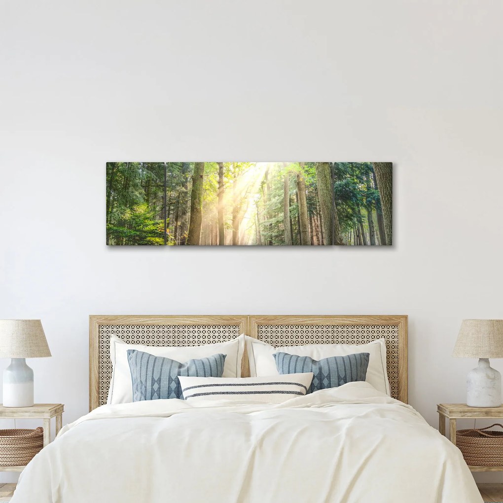 Obraz ścieżki w lesie (170x50 cm)