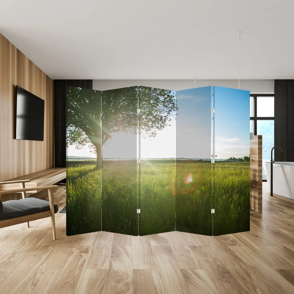 Parawan - Letnia łąka (210x170 cm)
