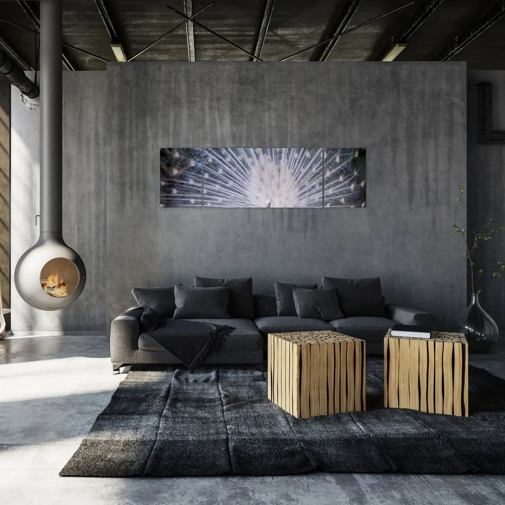 Obraz - Biały paw (170x50 cm)