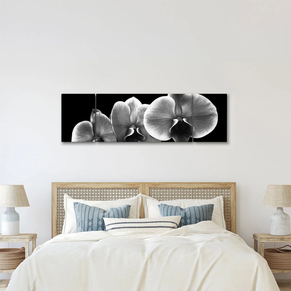 Obraz kwiatu orchidei (170x50 cm)