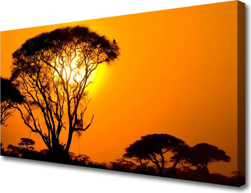 Zdjęcie na płótnie Słońce Przebijające przez Liście