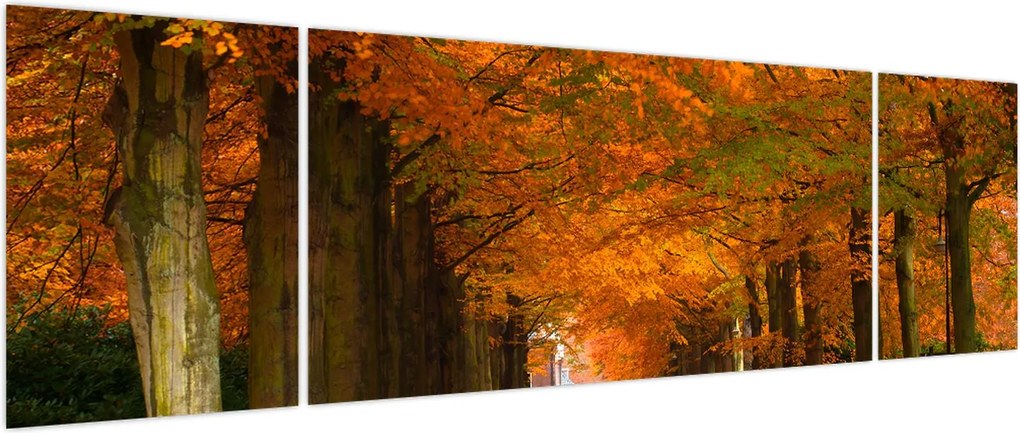 Obraz - Aleja drzew jesienią (170x50 cm)
