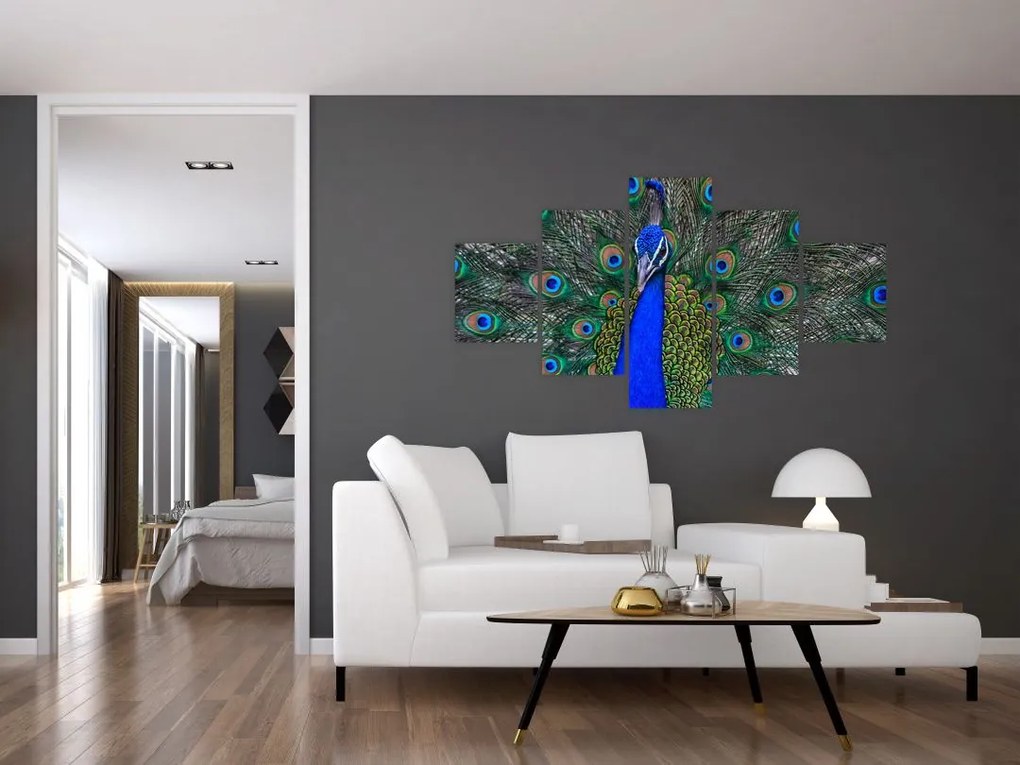 Obraz - Paw (125x70 cm)