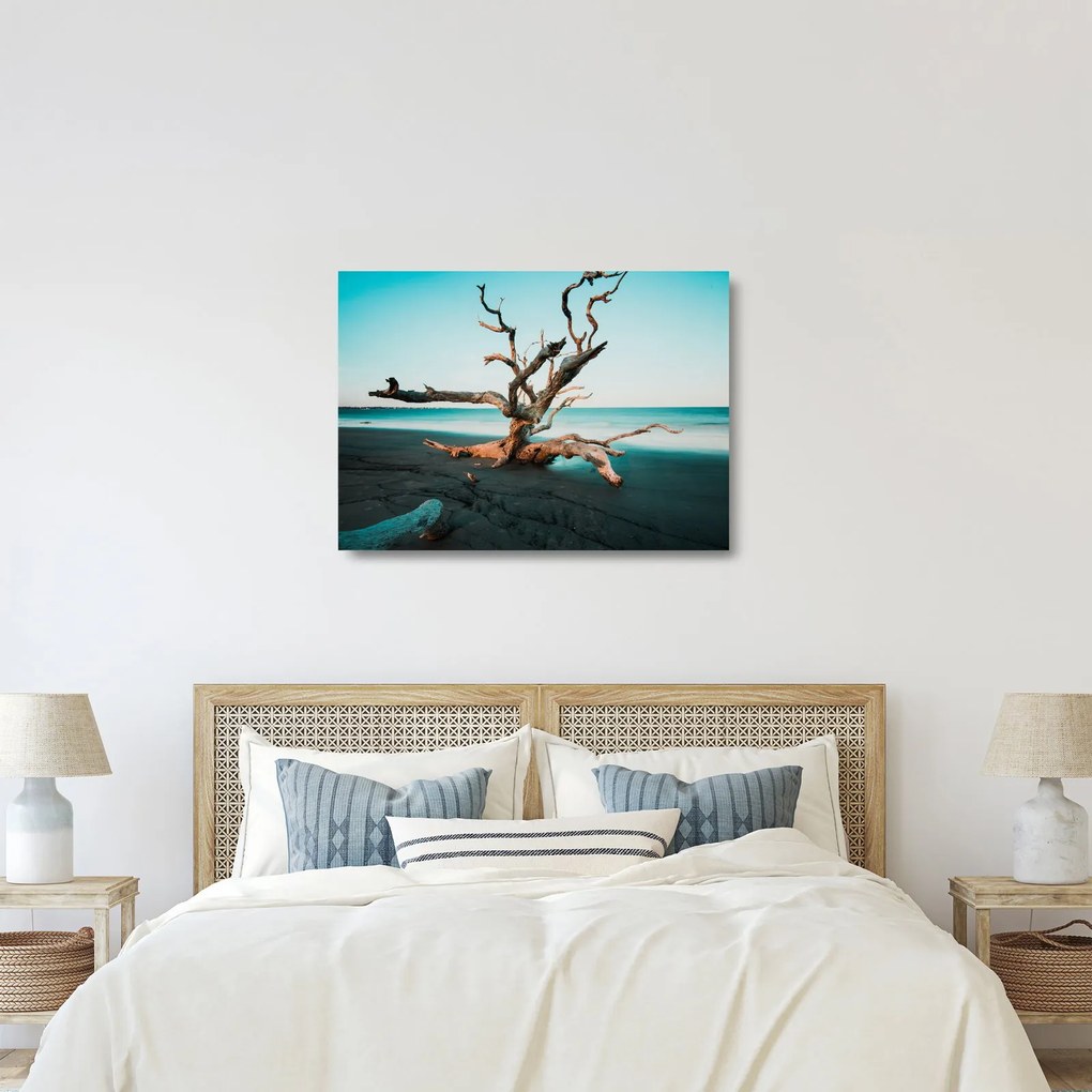 Obraz na szkle - Wyłowiono na plaży (70x50 cm)