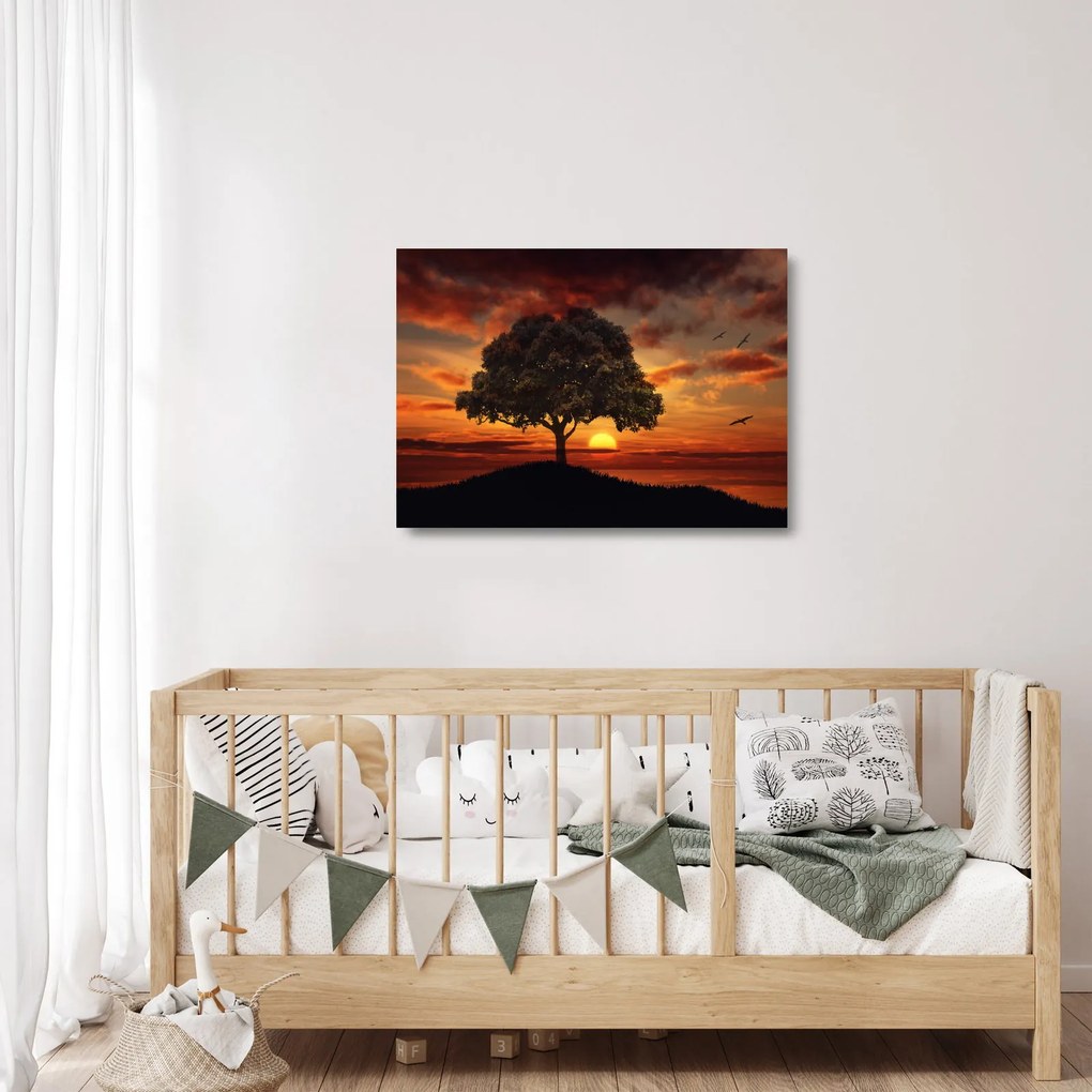 Obraz na szkle drzewa o zachodzie słońca (70x50 cm)