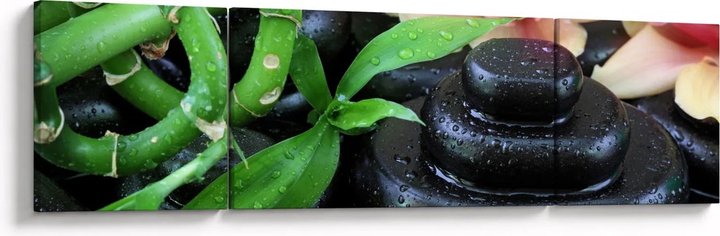 Obraz - Kamienie i orchidee (170x50 cm)
