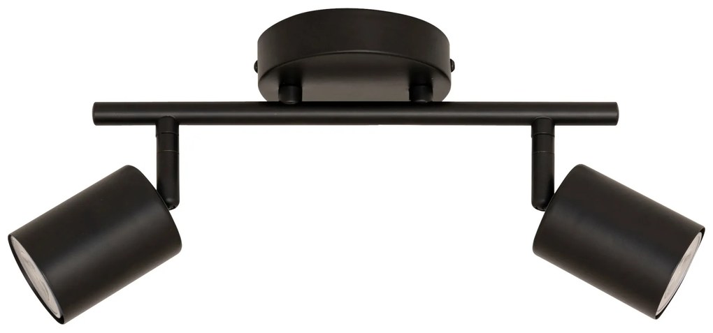 Lampy sufitowe VICO, metalowe klosze, 2 punktowe