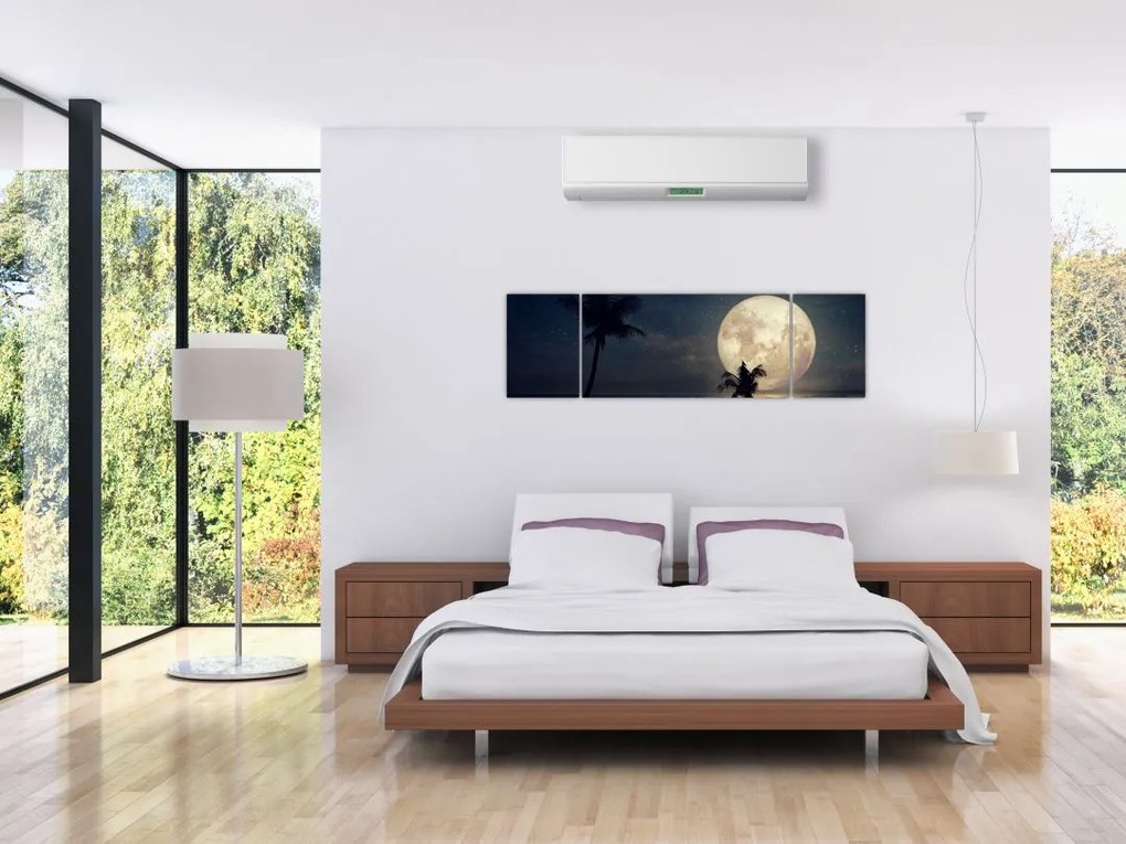 Obraz - Plaża pod pełnią księżyca (170x50 cm)