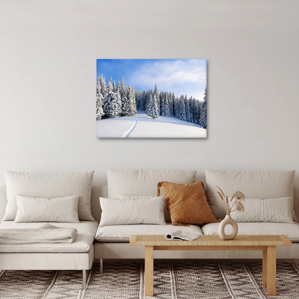Obraz - Zima w lasach (70x50 cm)