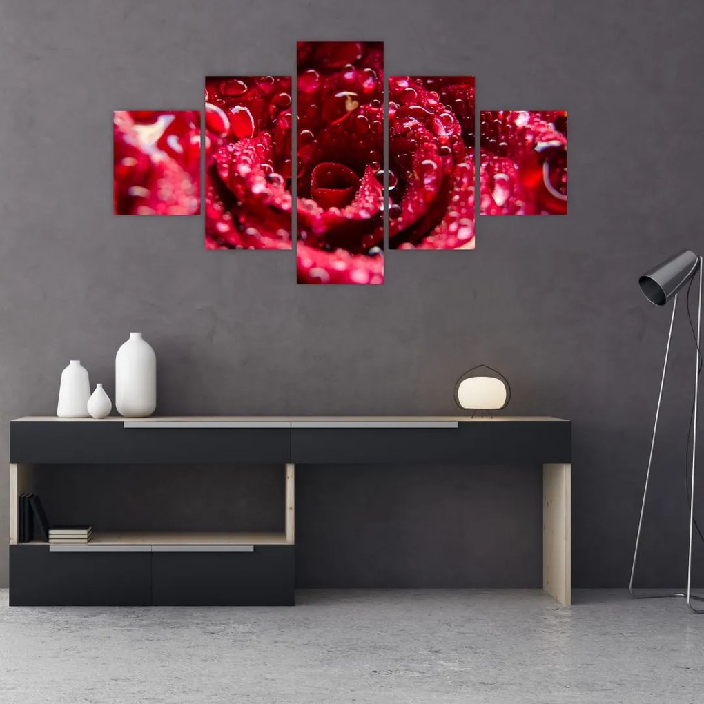 Obraz czerwonego kwiatu róży (125x70 cm)