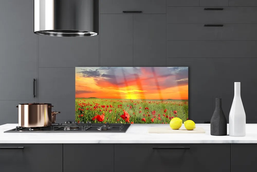 Panel Szklany Maki w Blasku Słońca