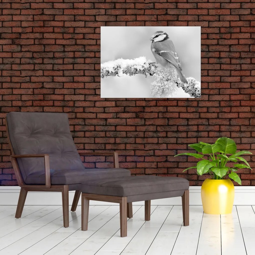 Obraz na szkle - Ptak na gałęzi (70x50 cm)