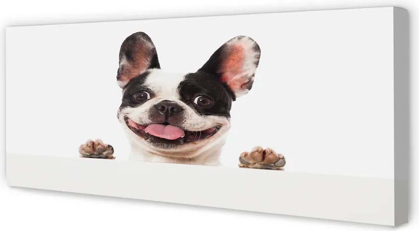 Obraz drukowany na płótnie Portret Psa