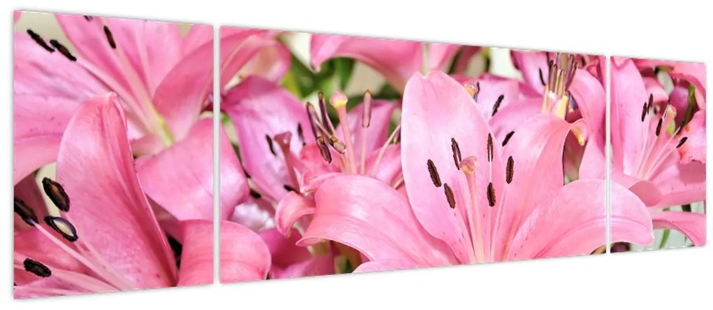 Obraz - Różowe lilie (170x50 cm)
