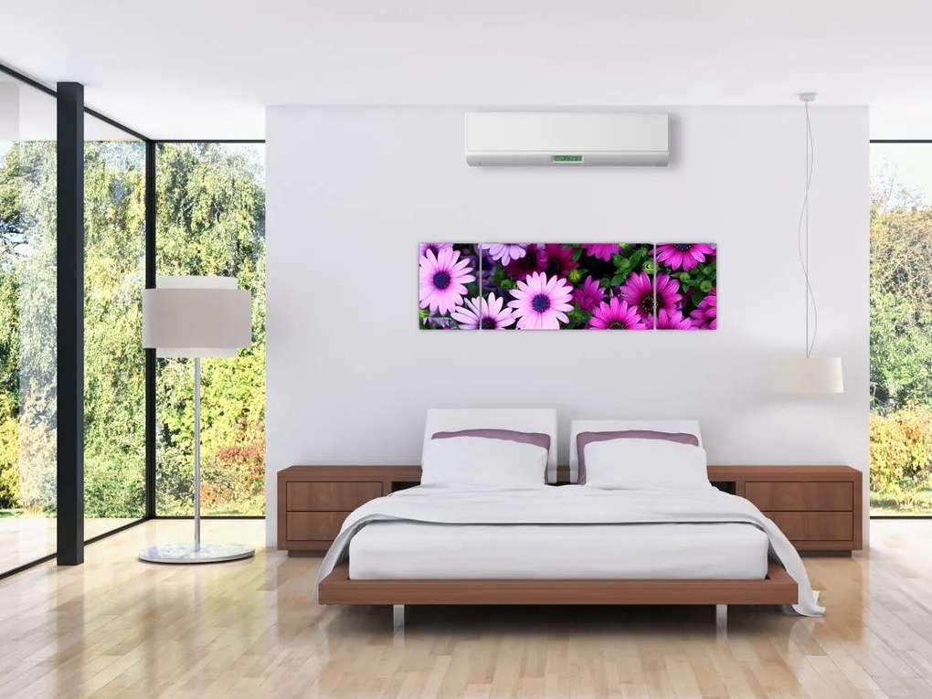 Obraz - Kwiaty (170x50 cm)