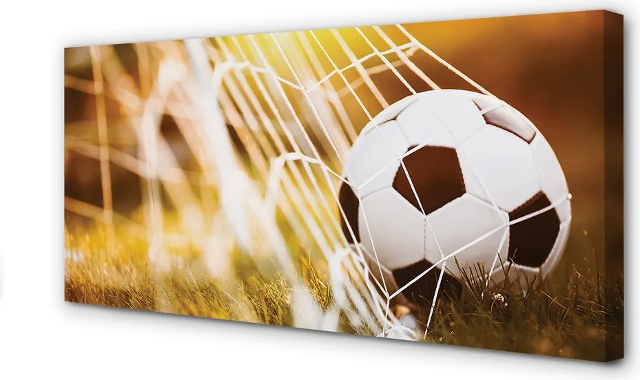 Obraz na płótnie Kontrastowy Futbol Na Murawie