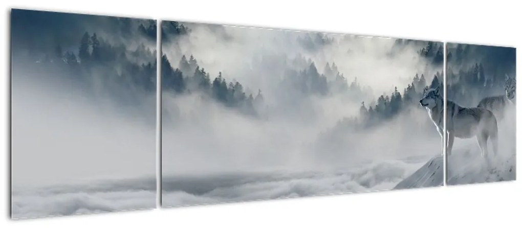 Obraz wilków (170x50 cm)
