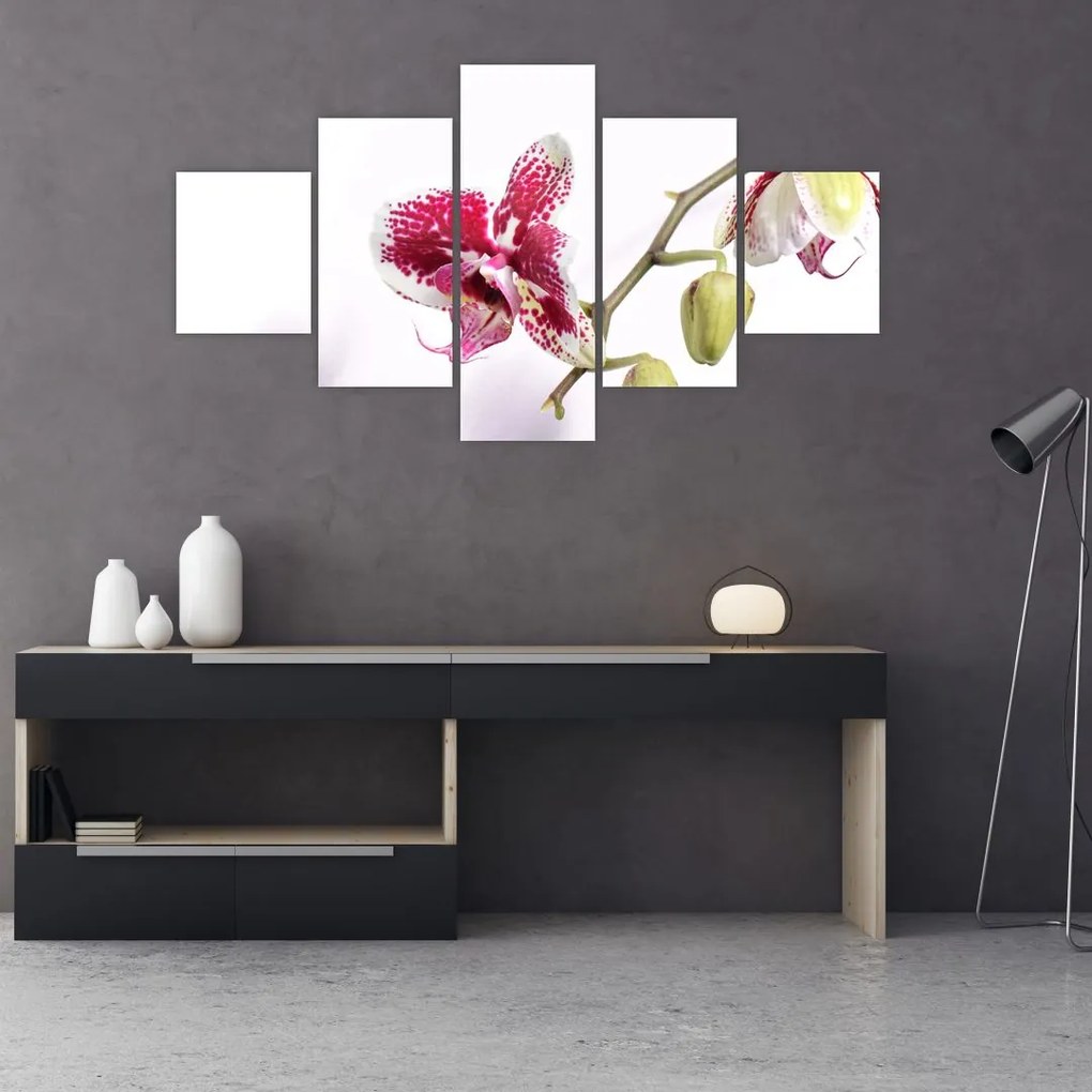 Obraz kwiatu orchidei (125x70 cm)