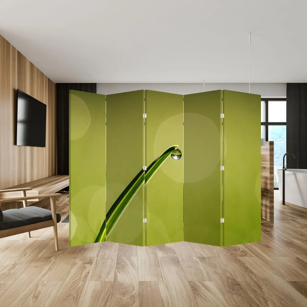 Parawan - Kropla wody na trawie (210x170 cm)