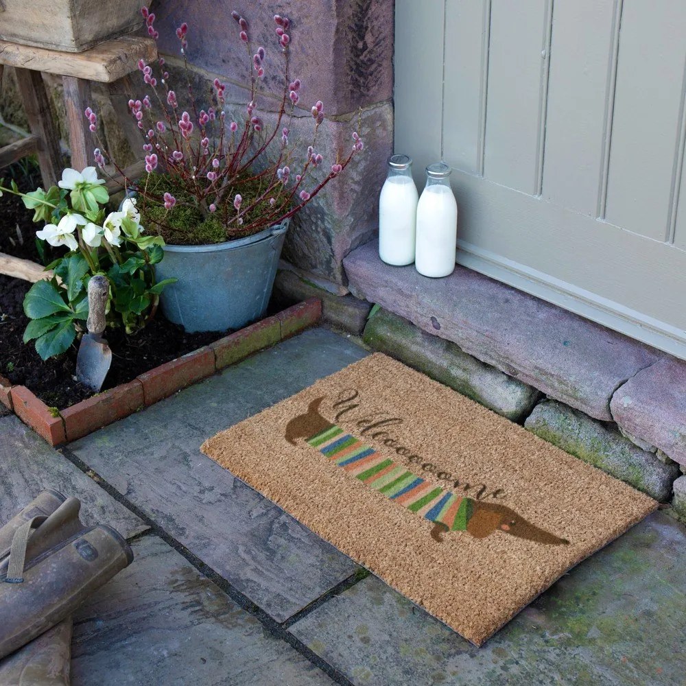 Wycieraczka z włókna kokosowego 40x60 cm Welcome Sausage Dog – Artsy Doormats