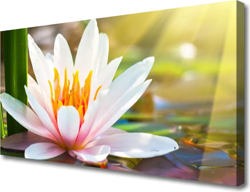 Obraz na płótnie Pełnia Letniego Rozkwitu