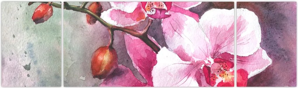Obraz - Orchidee, akwarela (170x50 cm)