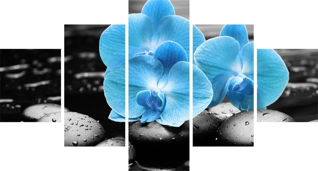 Obraz - Niebieska Orchidea (125x70 cm)