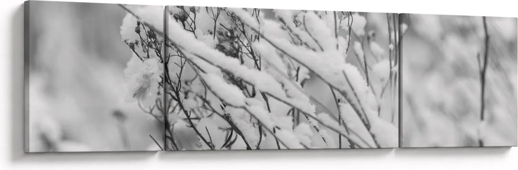 Obraz - Ośnieżone gałęzie (170x50 cm)