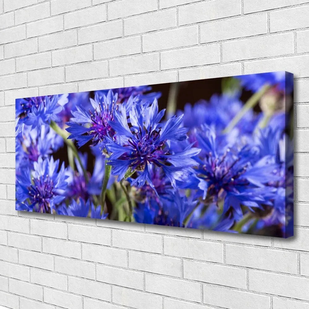 Obraz drukowany na płótnie Artystyczna Wizja Ogrodu