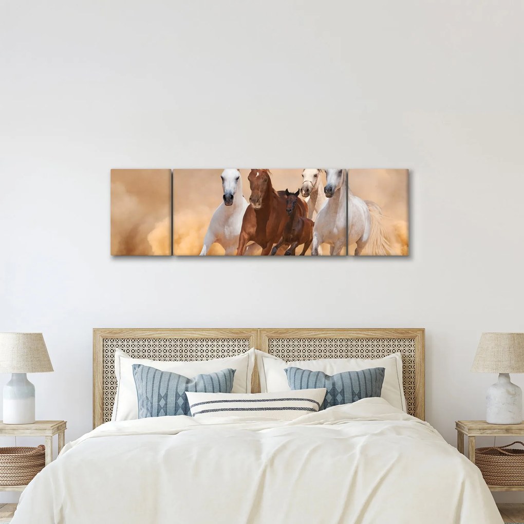 Obraz - Stado koni (170x50 cm)