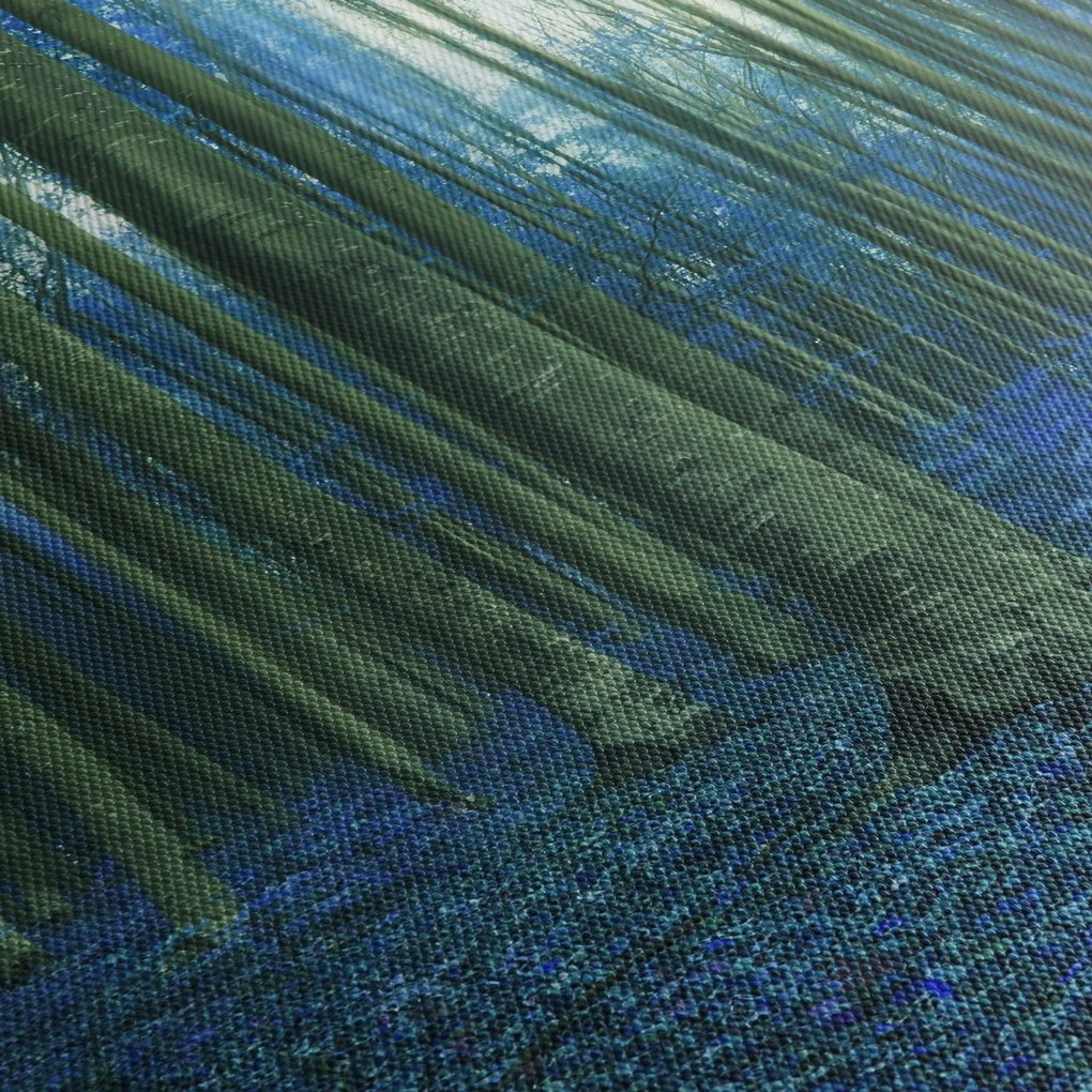 Obraz - Niebieski las (70x50 cm)