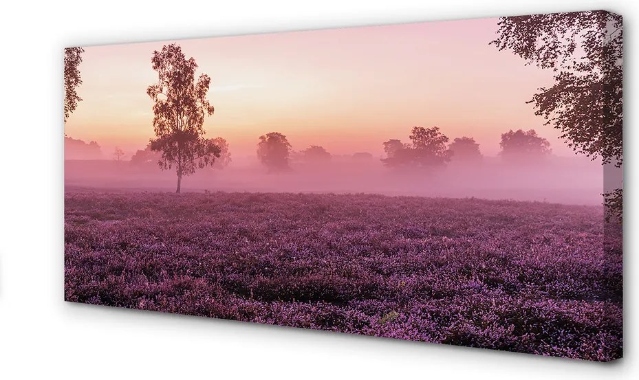 Obraz drukowany na płótnie Pole Wrzosów