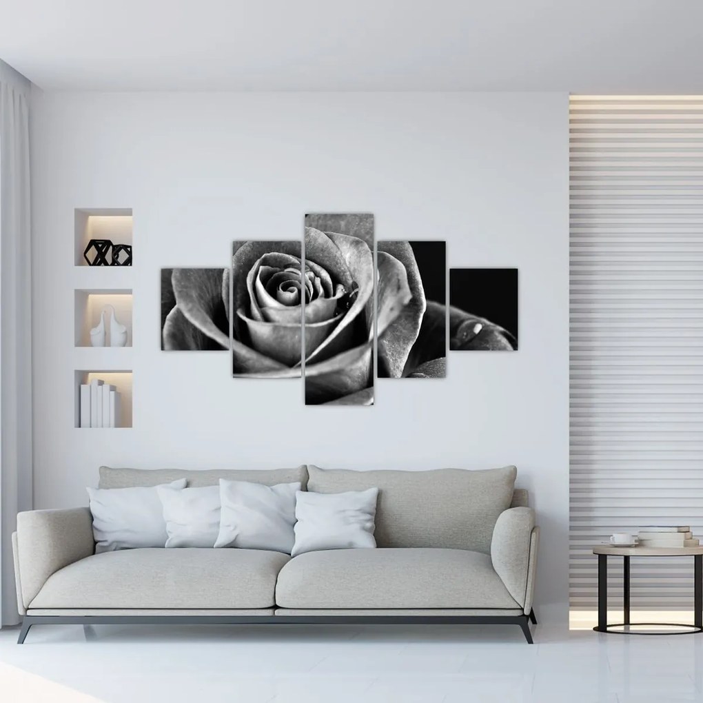 Obraz - Róża, czarno - biały (125x70 cm)