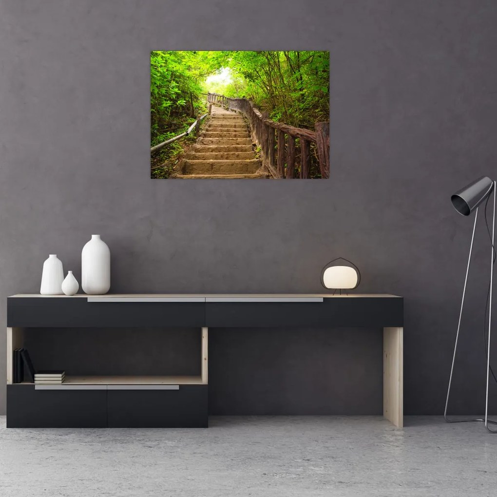 Obraz - Schody w przyrodzie (70x50 cm)