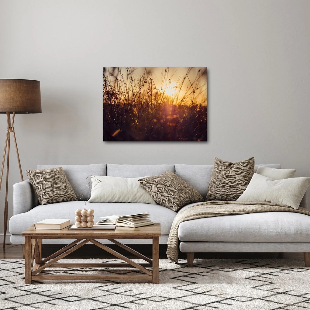 Obraz pola o zachodzie słońca (70x50 cm)