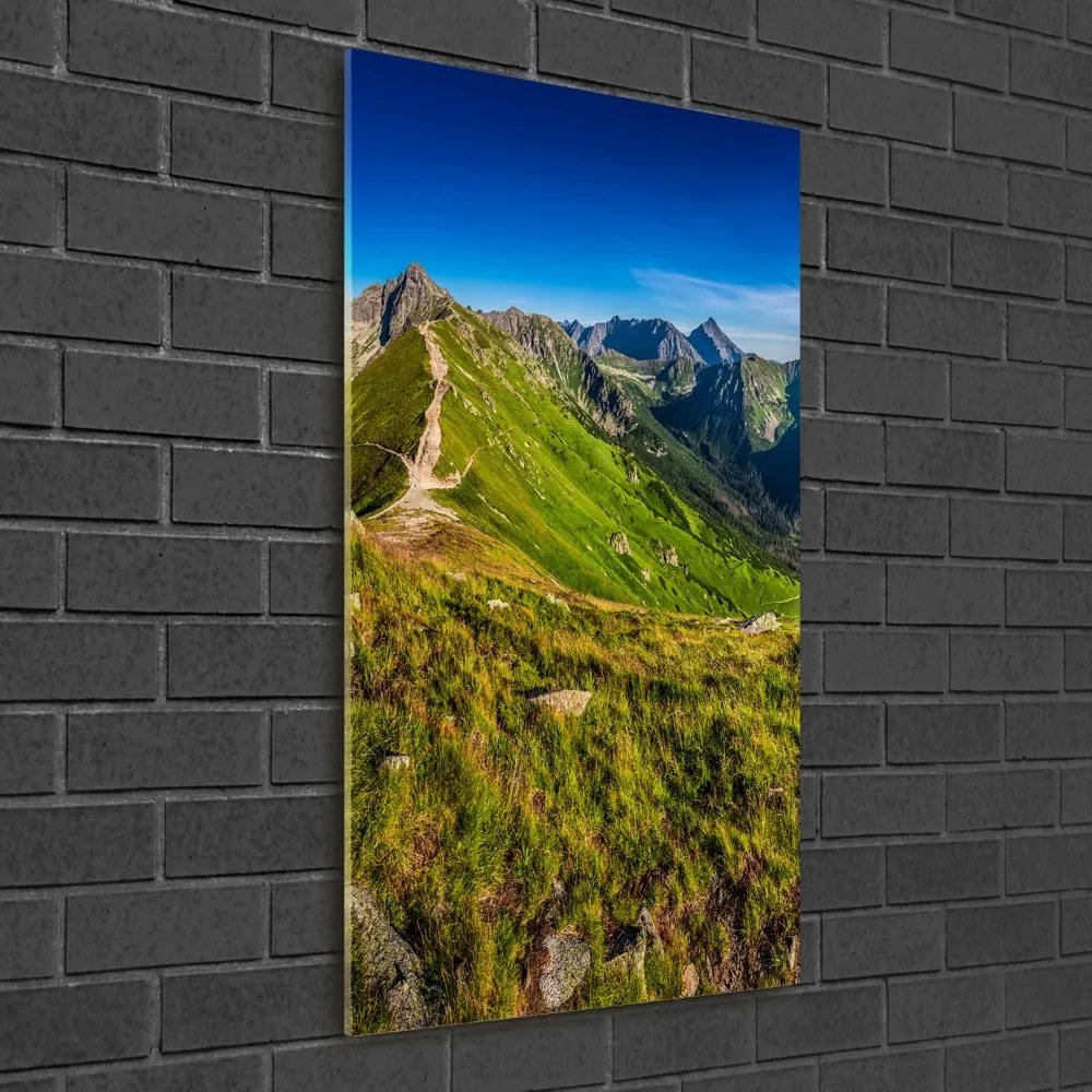 Foto obraz szkło akryl pionowy Tatry