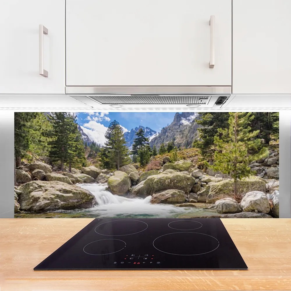 Panel Szklany Dziki Potok w Górskim Lesie