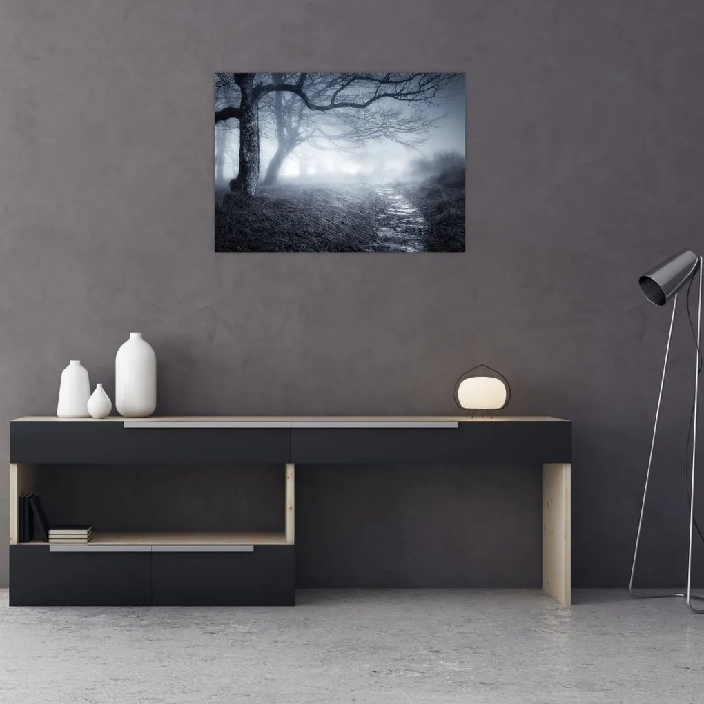 Obraz na szkle- Droga we mgle (70x50 cm)