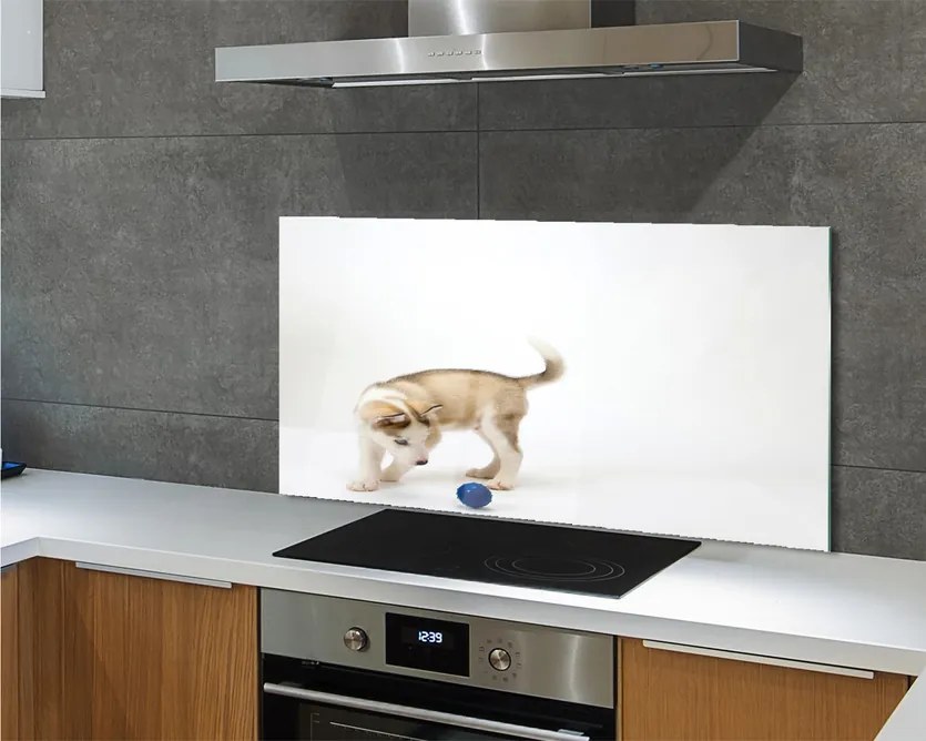 Panel szklany do Kuchni Radosna Zabawa Psa