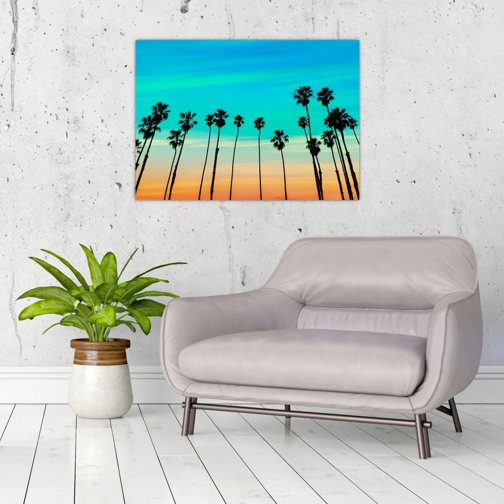 Obraz na szkle - Kalifornia (70x50 cm)
