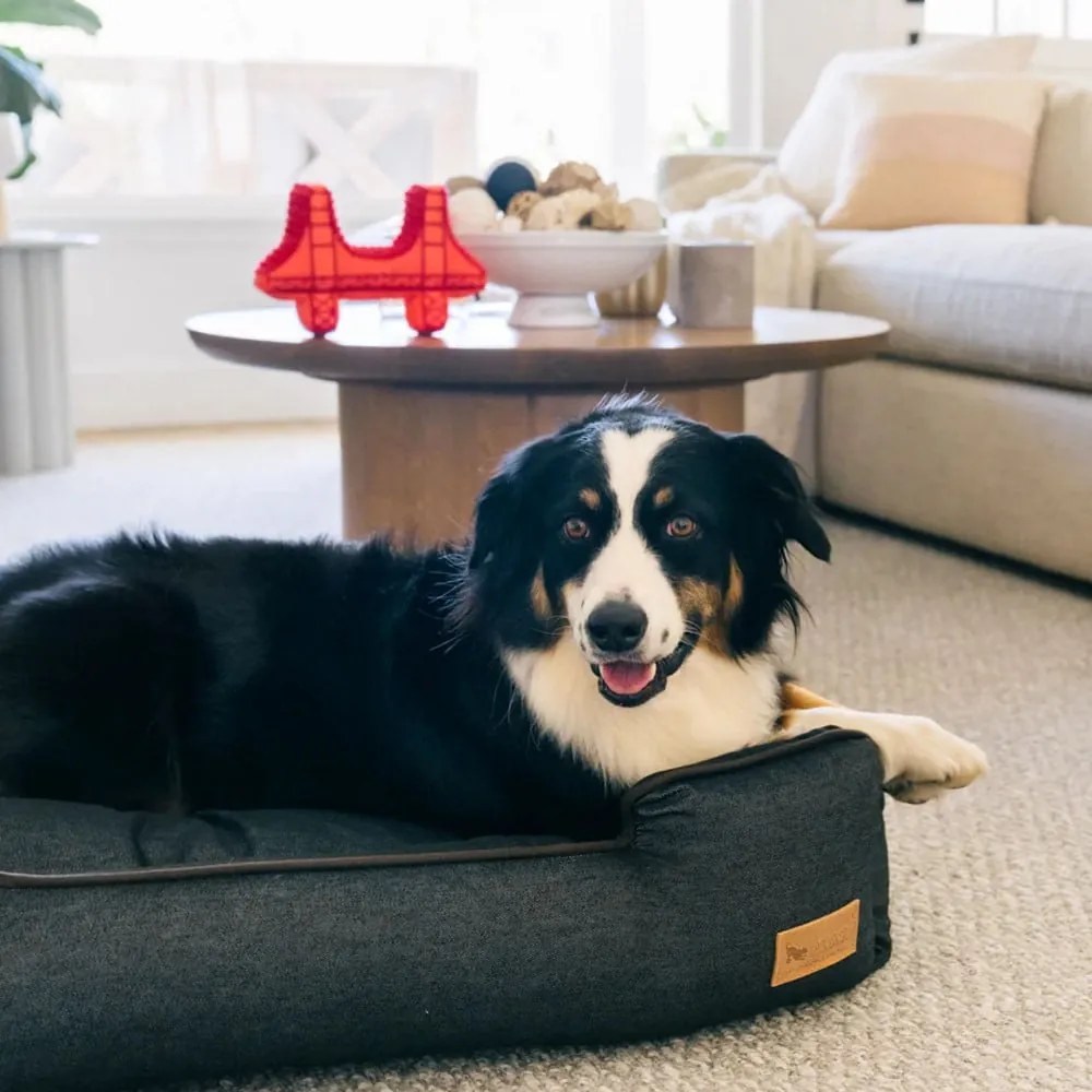 Ciemnoniebieskie legowisko dla psów 60x50 cm Lounge Bed Denim Medieval Blue / Dark Chocolate S – P.L.A.Y.