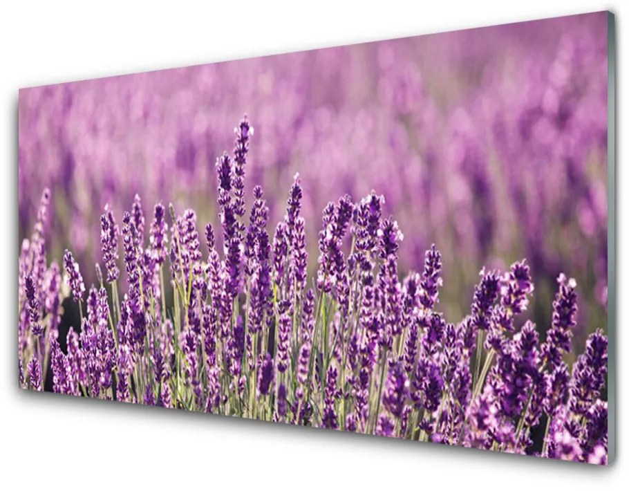 Panel Szklany Kwiaty Roślina Natura