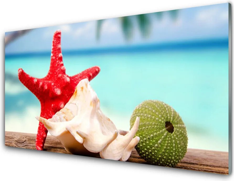 Panel Kuchenny Skarby Oceanicznej Głębi