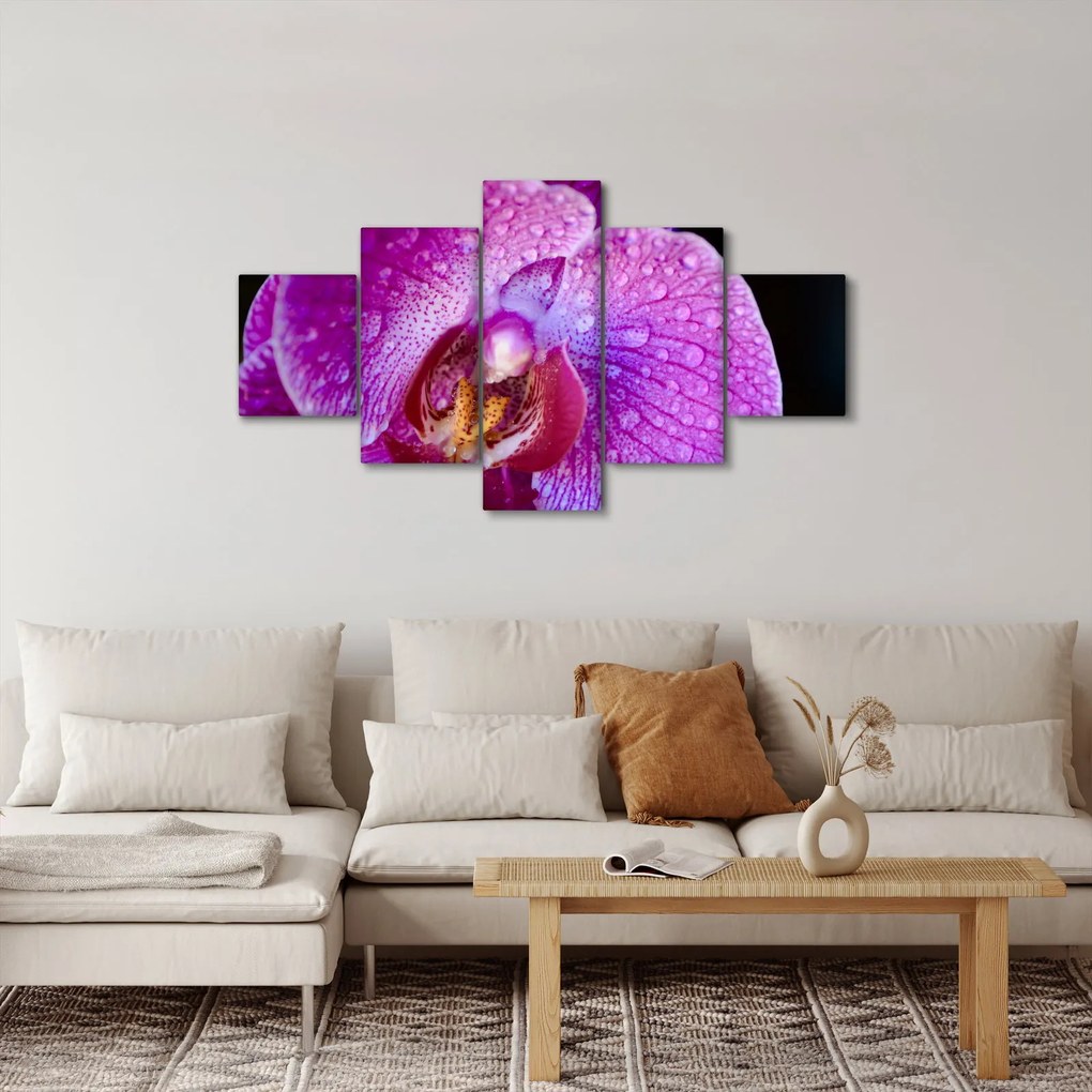 Obraz - Zbliżenie kwiatu orchidei (125x70 cm)