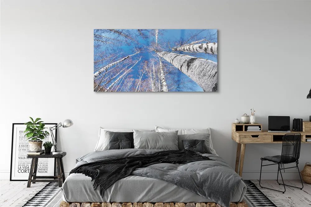 Zdjęcie na płótnie Brzozy na Tle Nieba