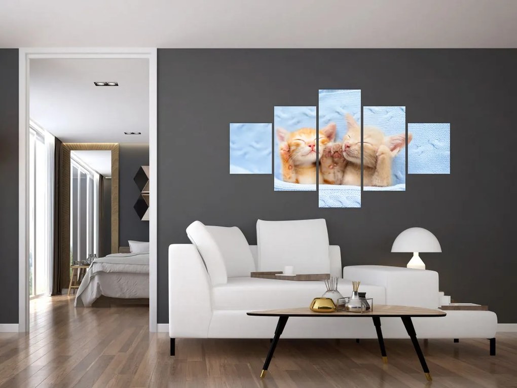 Obraz - Śpiące kocięta (125x70 cm)