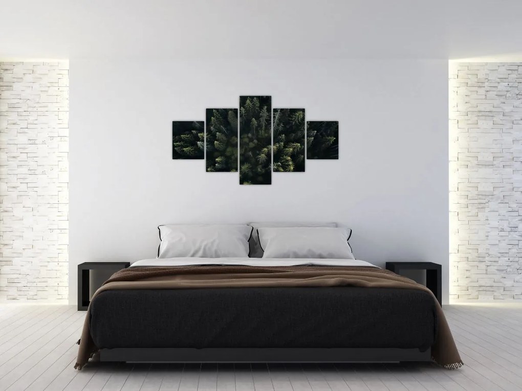Obraz - Las (125x70 cm)