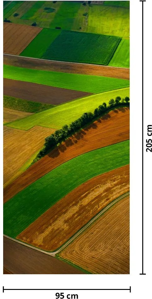 Fototapeta na drzwi - Pole (95x205cm)
